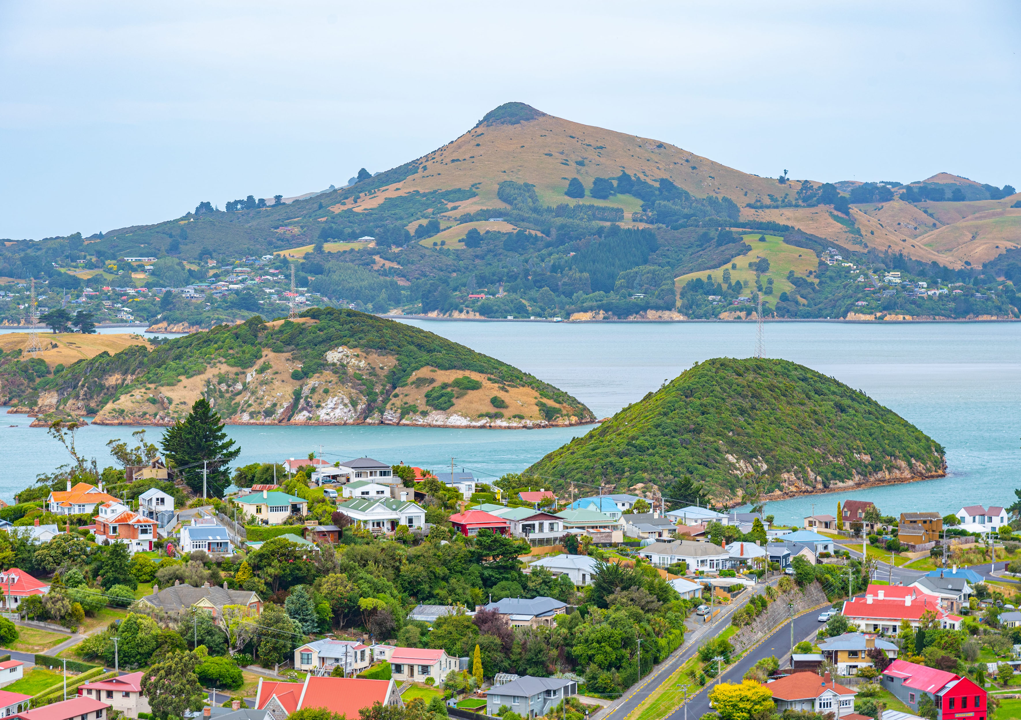 New Zealand